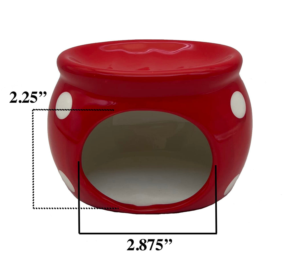 ACK Ceramic Hand Painted Soap/Sponge Holder for Kitchen Sink, Kitchen Décor, Scouring Pad