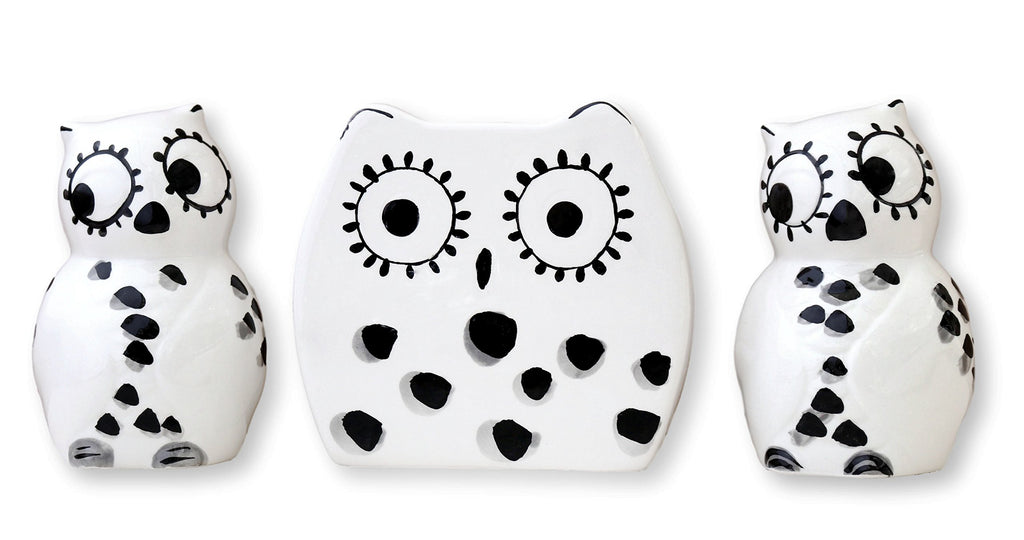ACK Salt and Pepper Shaker, Kitchen Décor with Napkin holder
